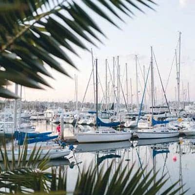 Palm Harbor office